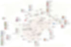 A map of the state of West Virginia with more than 100 international restaurants plotted on it.