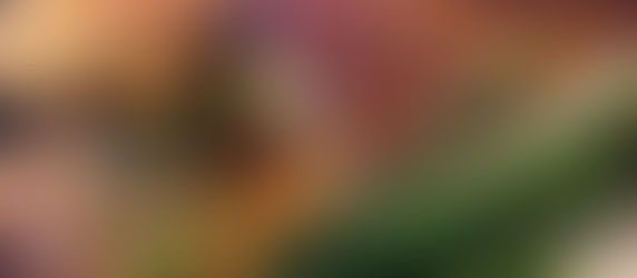 New Hale House is as hot as, well, as the name says ...