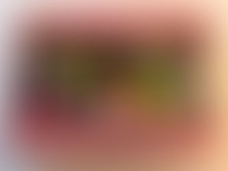 Legend Of Kage - Yamaki Summer Gift 1986