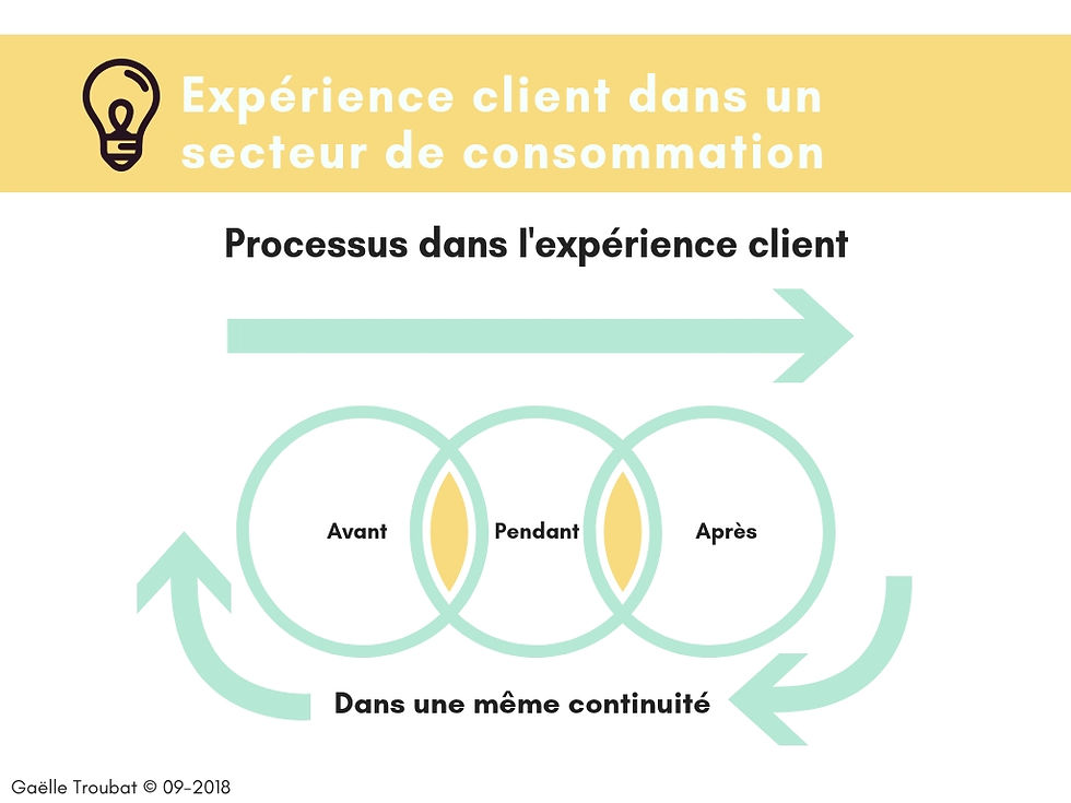 Gaëlle Troubat - processus expérience client