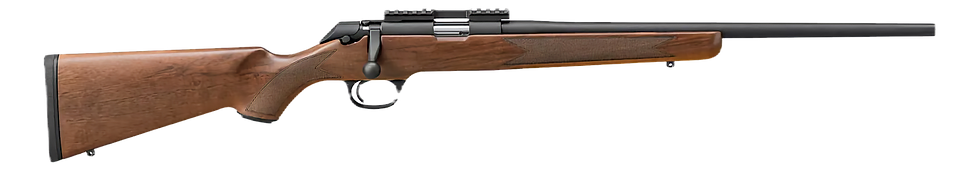 Springfield Armory model2020 22LR bolt action rifle. Photo courtesy of guns.com