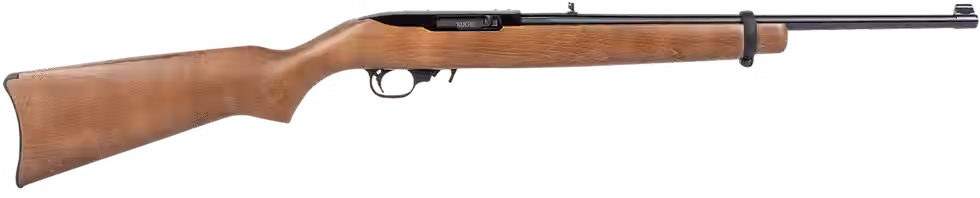 Ruger 1022 semi auto rifle. Photo courtesy of guns.com