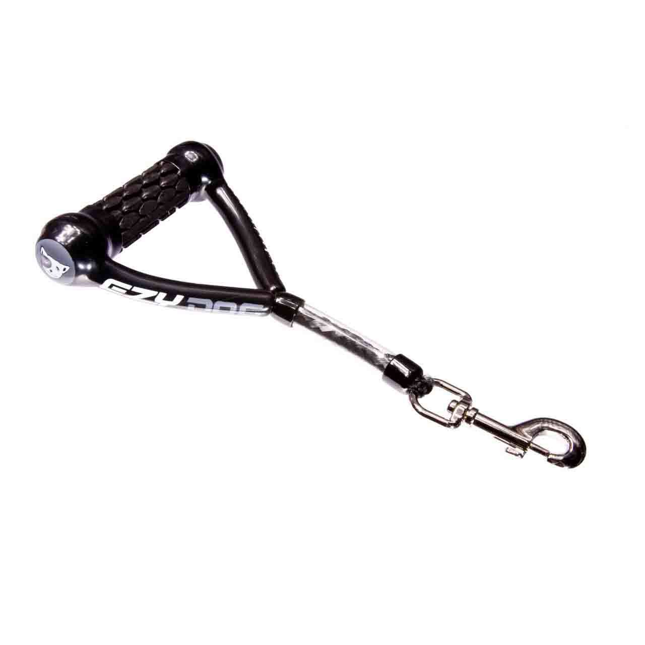 Large Dog Leash