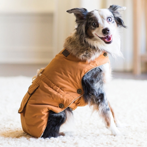 Army Dog Coat