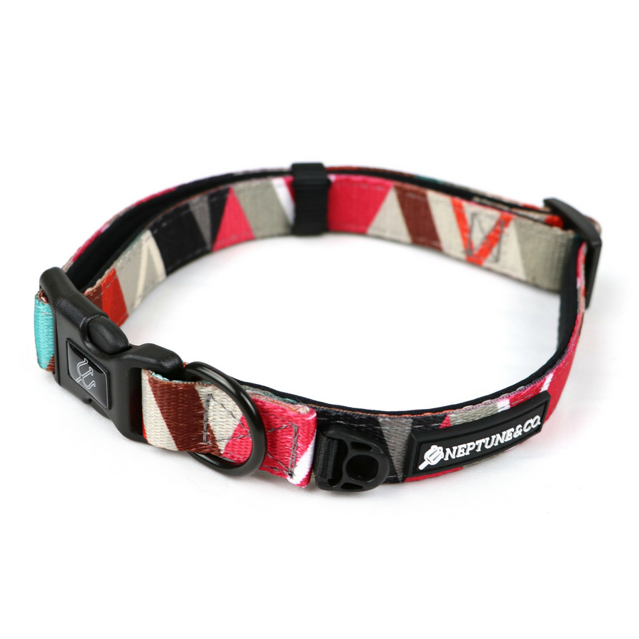 Geomuttric Dog Collar