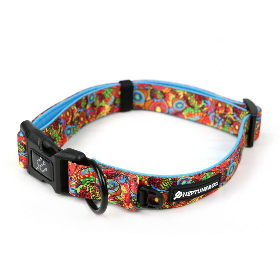 Pup Art Collar