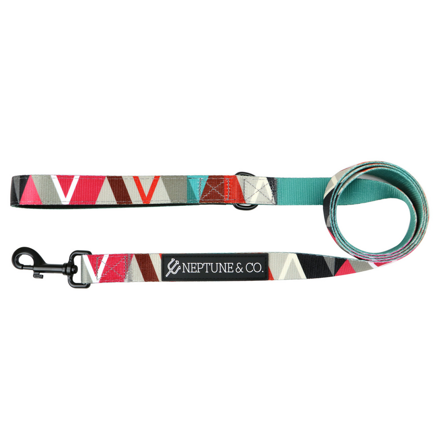 Geomuttric Dog Leash