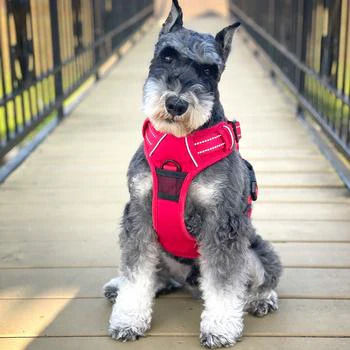 Pull Control Dog Harness
