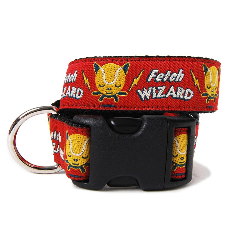 Fetch Wizard Collar