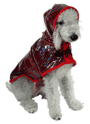 Red Rainy Coat