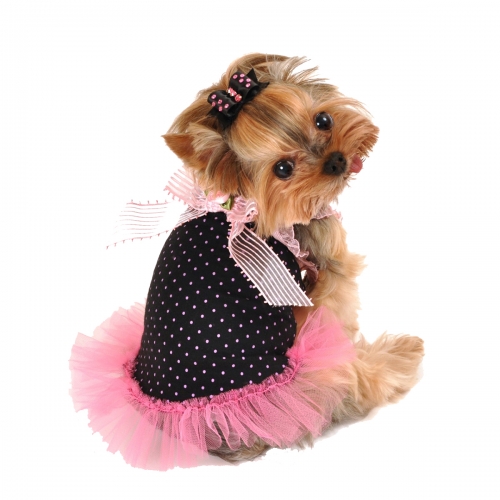 Pink Tulle Dress