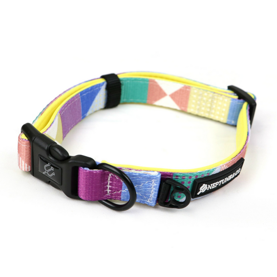 Pastel Pooch Collar