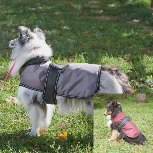 Arctic Dog Coat