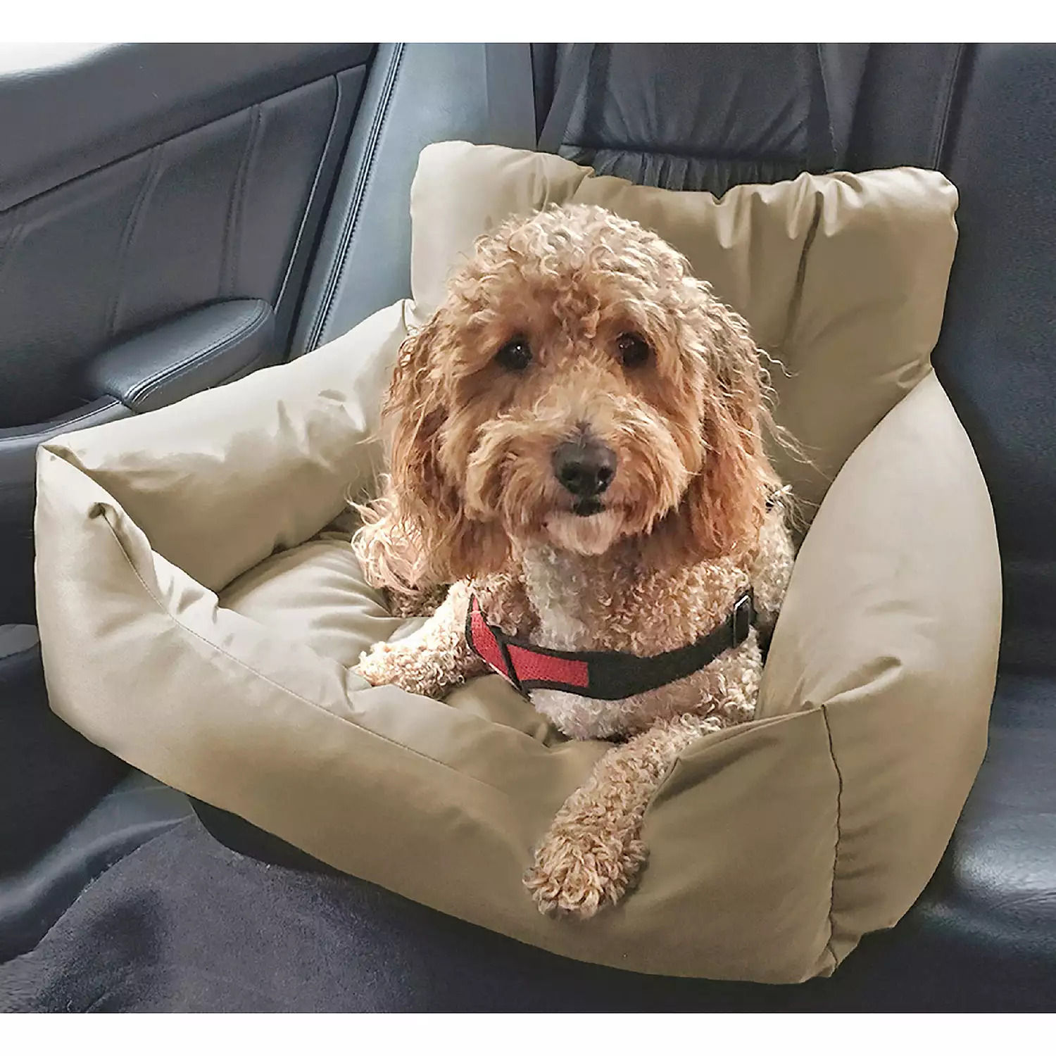 Chew Resistant Travel Dog Bed