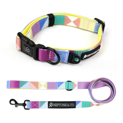 Pastel Pooch Collar/Leash