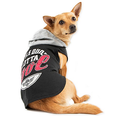 Little Dude Hoodie