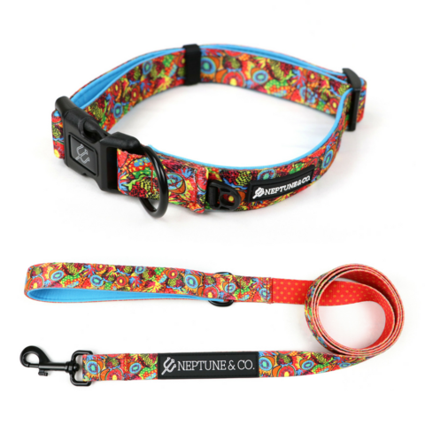 Pup Art Collar/Leash
