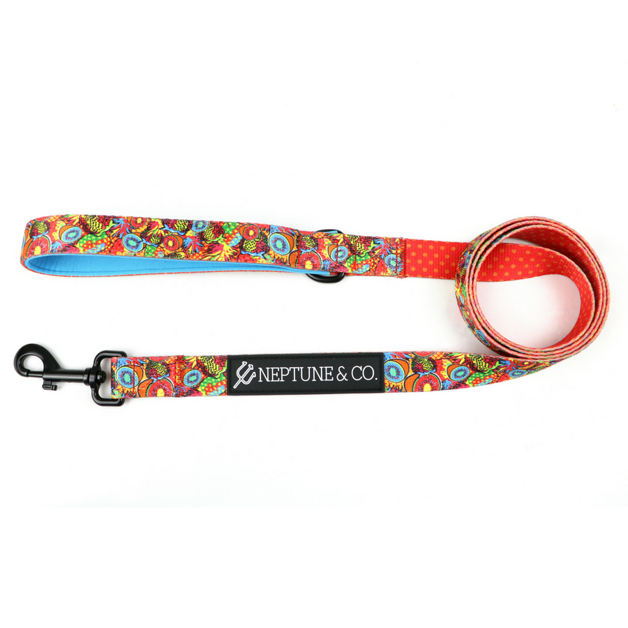 Pup Art Dog Leash