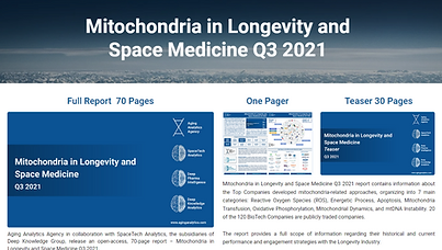 Mitochondria in Longevity and Space Medicine Q3 2021.png