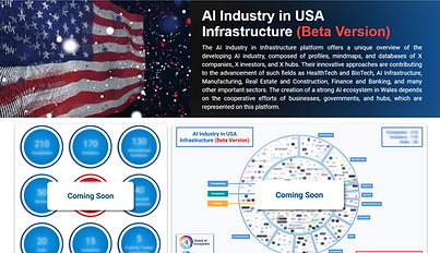 AI in USA Infrastructure.png