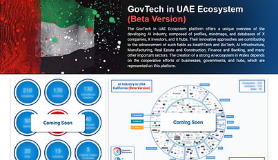 GovTech in UAE.png