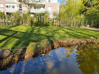 k 7990.jpg