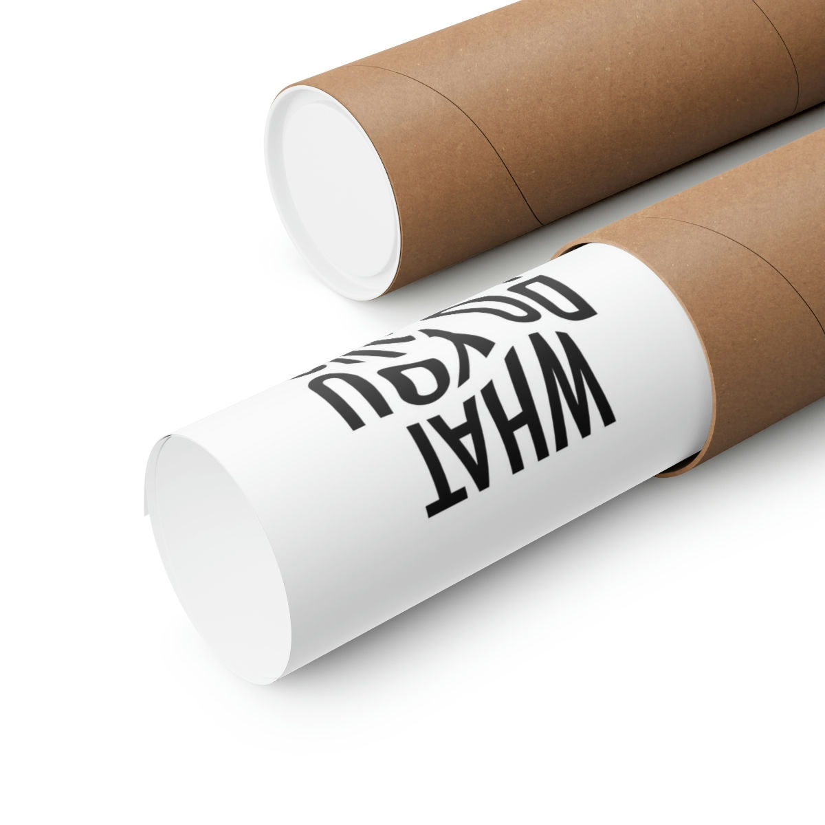 What Do You Mean? - 11x14 Poster