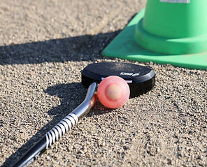 グラウンドゴルフ (125).JPG