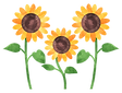 23977376.png