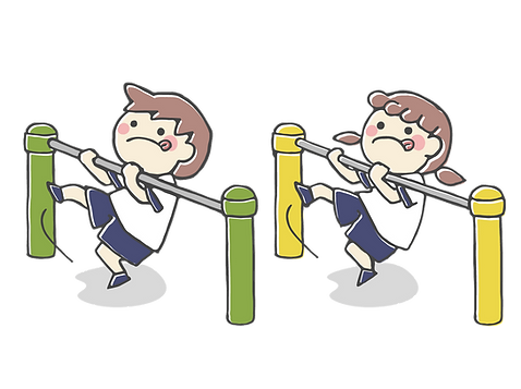 26262646.png