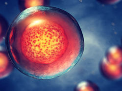 Stem Cell Therapy: A New Hope For Cancer Treatment