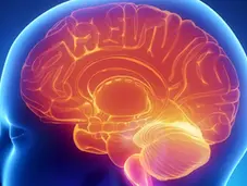  Inside the Mind: The Mechanics of Being Human