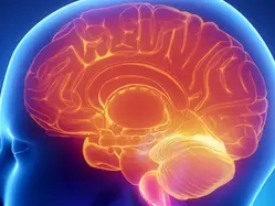  Inside the Mind: The Mechanics of Being Human