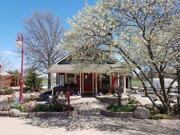 20190415_135313.jpg