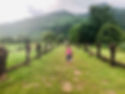 Photo_Walkng in grass towards mountains.HEIC