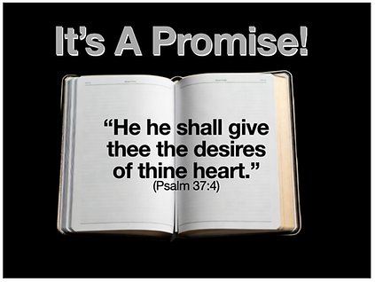 Screenshot 2026-04-08 at 4.09.08 AM.png