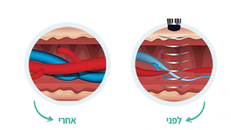צילום מסך 2024-12-03 204837.png