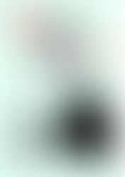 Rends son ombre à chaque élément de l'image.