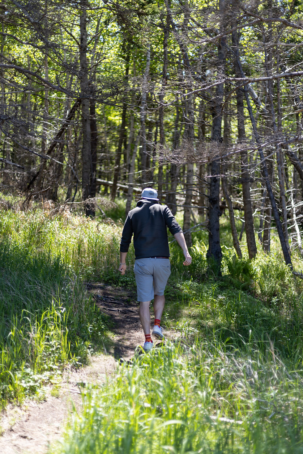Forest walker