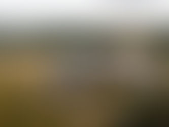 Why Heaton House Farm Is One of the Best Wedding Venues in Cheshire