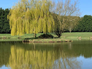 Wanderlust Willows Wedding Venue Review – Magical Tipi Weddings in Worcestershire