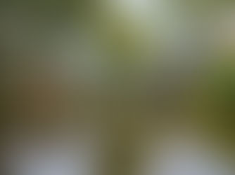 Why Ramada Hotel & Resort is a Perfect Wedding Venue in Sutton Coldfield