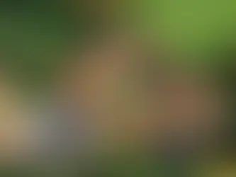 Why The Dairy, Waddesdon Estate Is a Truly Exceptional Wedding Venue in Buckinghamshire