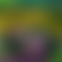 Wedding Venue Review: Why The Dorothy Clive Garden is a Truly Magical Place to Say “I Do”