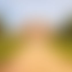 Why Chicheley Hall Is a Stunning Wedding Venue in Buckinghamshire