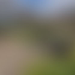 Why the DoubleTree by Hilton Oxford Belfry Is a Perfect Wedding Venue