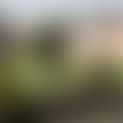 Staunton Harold Hall – A Magical and Exclusive Wedding Venue in the Heart of Leicestershire - Full Blog & Review by a Wedding DJ