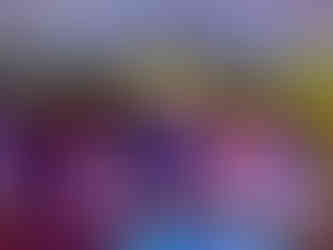 Wedding guests enjoying a lively dance at Stanbrook Abbey.