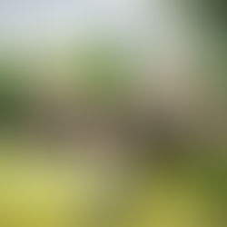 Why Littywood Manor is a Stunning Wedding Venue in Staffordshire