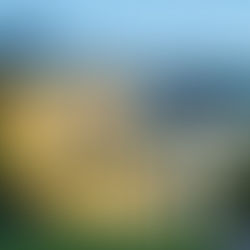 Arden Hotel and Leisure Club Wedding Venue Review – A Trusted Solihull Favourite with Everything in One Place